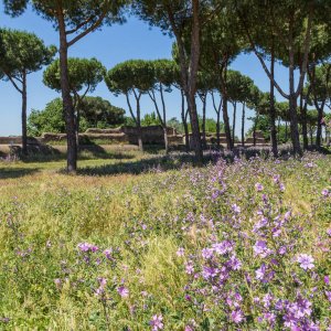 Parco degli Aquedotti