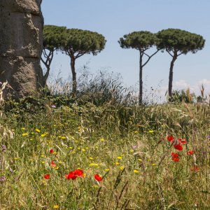 Parco degli Aquedotti