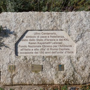 Gedenktafel beim Forum am Morgen