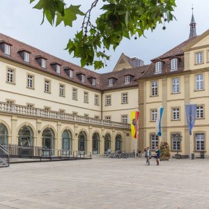Wrzburg 2015 Rathaus von der Rckseite