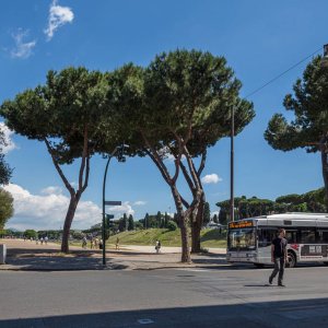 Circus Maximus