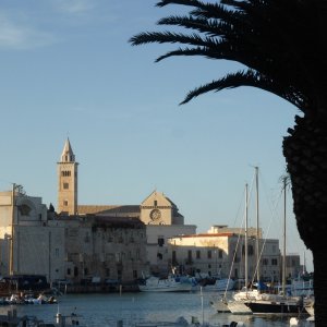 Trani