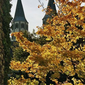 Goslar Herbst analog unbearbeitet