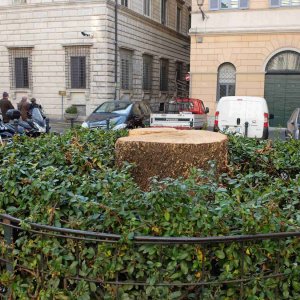 Piazza_della_Quercia