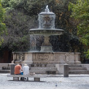 Trastevere 2016