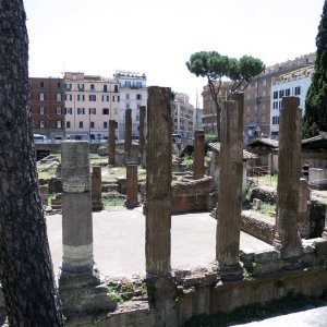 Area sacra Largo Torre Argentina