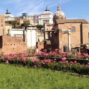 Forum Romanum