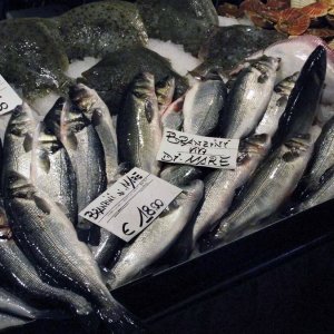 Mercato del Pesce