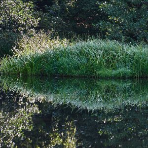 L_neburgerHeide_1360