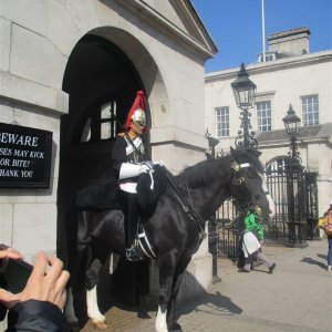 Horse Guards