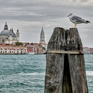 Venedig17 Vogelperspektive
