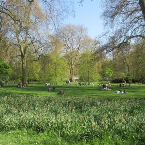 St James Park