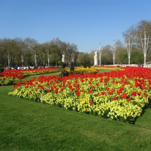 Am Buckingham Palace