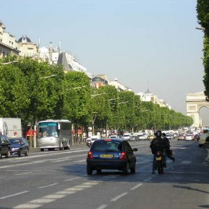 Champs - Elyse