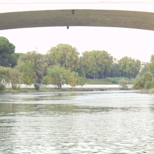 Der Tiber im Norden