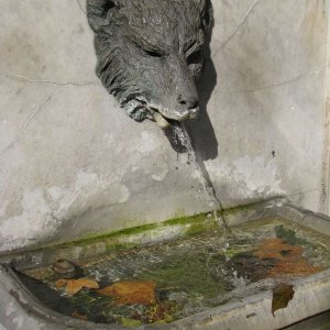 Fontana dell'Orso