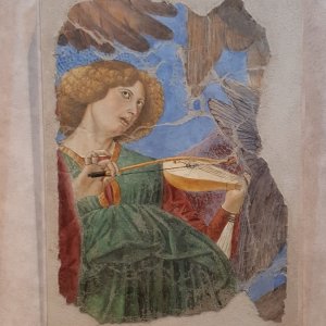 Melozzo da Forli: Musizierender Engel