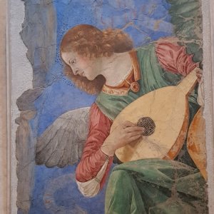Melozzo da Forli: Musizierender Engel