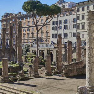 Largo di Torre Argentina