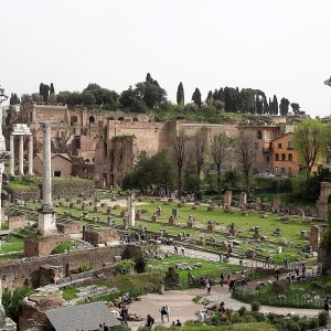 Forum