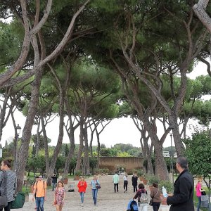 Giardino d'Arranci