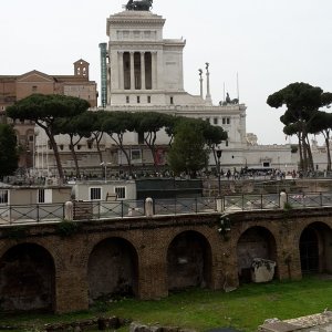 Forum