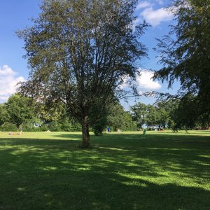 Liegewiese am Südufer des Wörthsees - fast schon ein Park