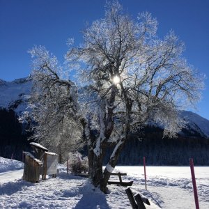 Am St. Moritzer See - auf dem Weg zum Stazer Wald