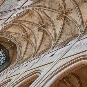 Uppsala Dom