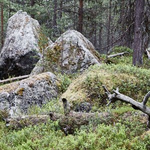 Rastplatz Karhunpesäkivi Nordfinnland