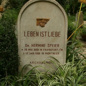 Grab Hermine Speier