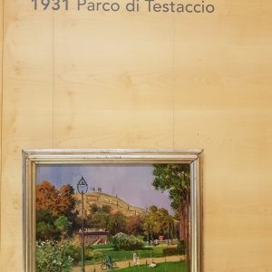 Raffaele de Vico-Ausstellung