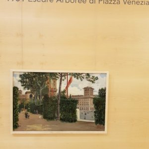 Ausstellung Raffaele de Vico