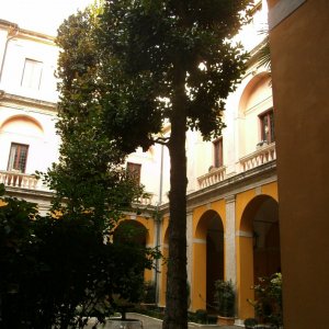 Innenhof Palazzo Cesi - Sitz der Salvatorianer