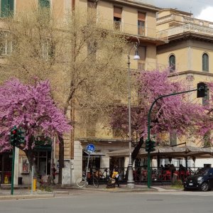 Via Cola di Rienzo