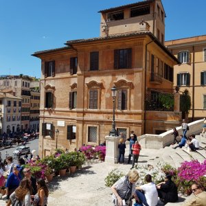 Azaleen an der Spanischen Treppe