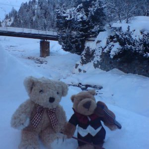 Bren im Engadin - Frdric und Leopold