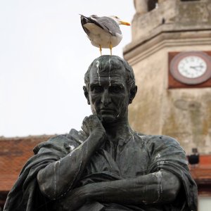 Ovid-Statue auf dem Ovidiu-Platz