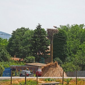 Dorf Maliuc mit Störchen