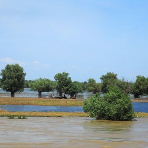 Hochwasser am Donauufer