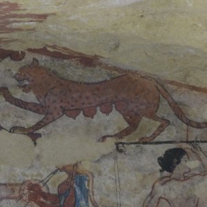 Tarquinia Necropole