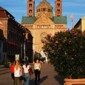 Dom zu Speyer im Abendlicht