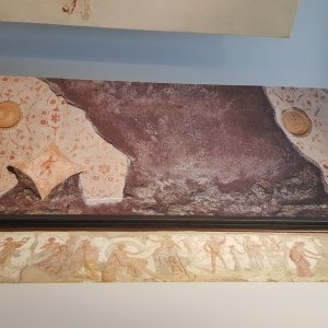 Museo Palatino