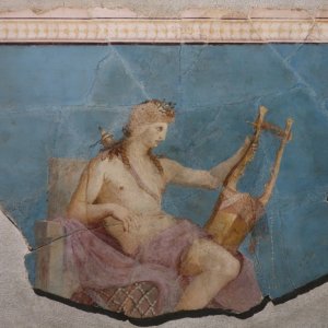 Museo Palatino