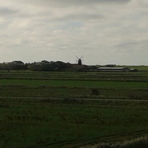 Blick zur Windmühle