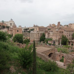 Tempel des Romulus