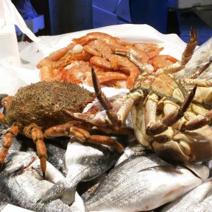 Pescheria Mercato di Rialto