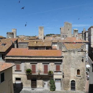 Tarquinia Museo archeologico