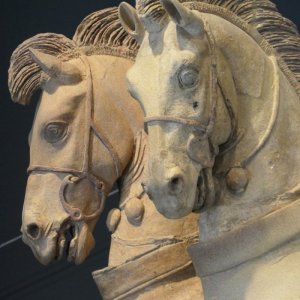 Tarquinia Museo archeologico