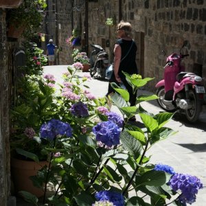 Bolsena